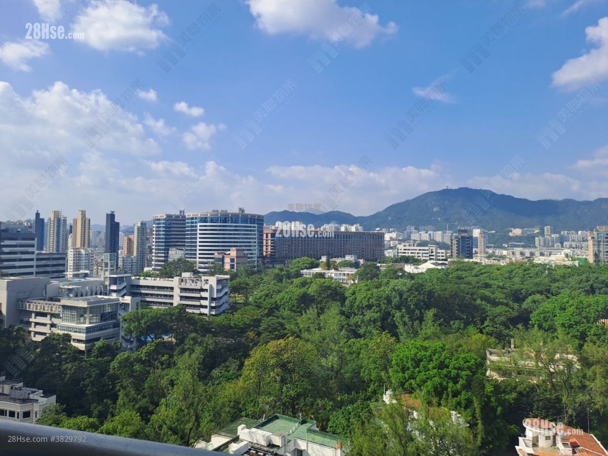 加多利峯 售盘 3 房 919 平方尺