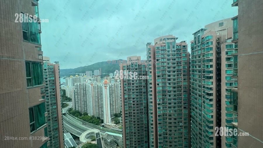 Tierra Verde Rental 2 Bedrooms , 1 Bathroom 526 ft²