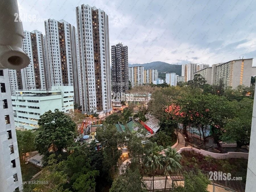 绿杨新邨 租盘 2 房 , 1 浴室 445 平方尺