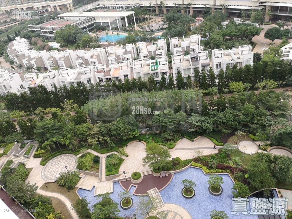 Coastal Skyline Rental 1 Bathroom 549 ft²