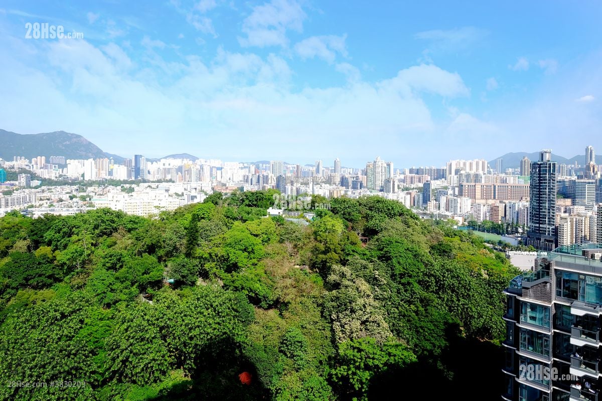 景觀: 景怡峰 售盤 2 房 , 1 浴室 484 平方呎