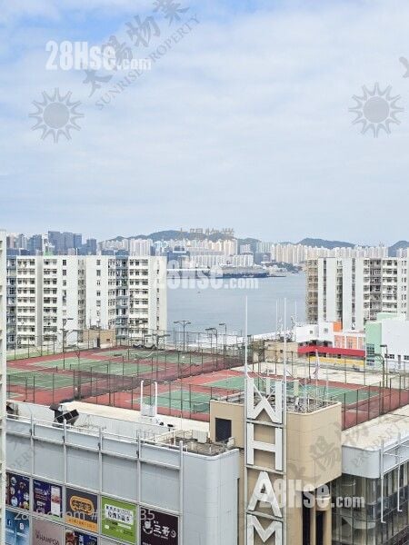 黄埔花园 售盘 1 房 364 平方尺