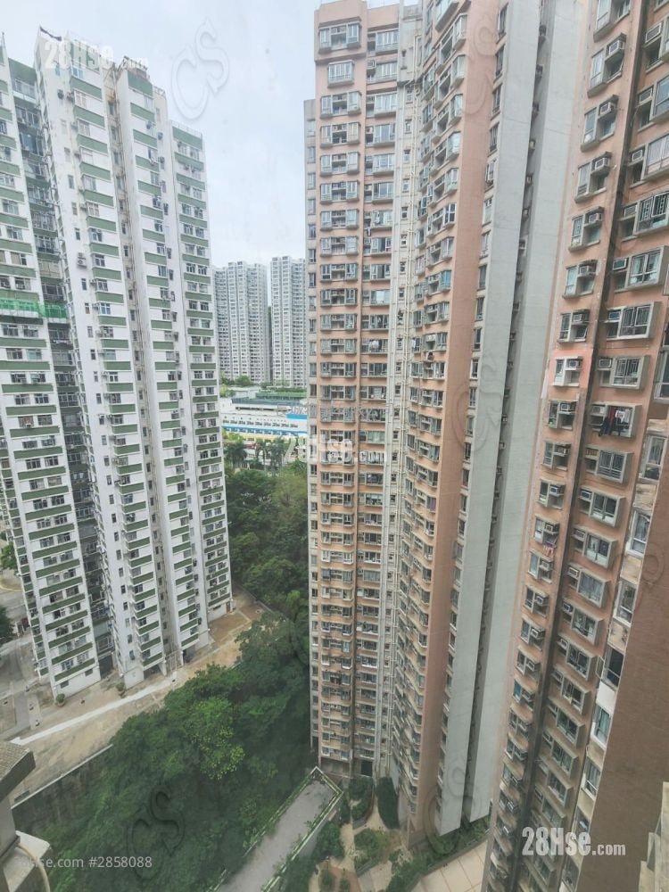 康景花园 售盘 2 房 , 1 浴室 445 平方尺