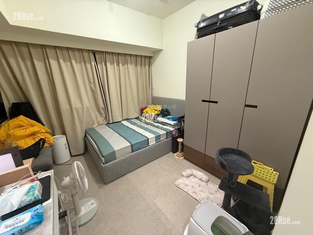 Novo Land Sell Studio 235 ft²