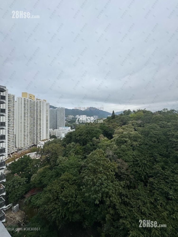晓柏峰 售盘 开放式间隔 , 1 浴室 185 平方尺