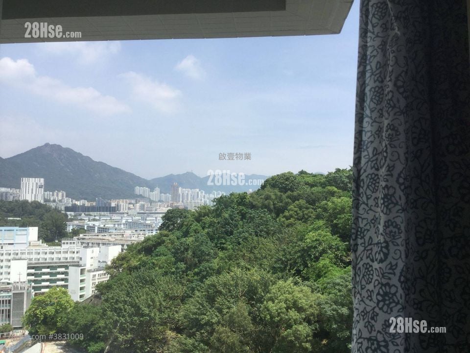 Gardenia Rental 1 Bedroom , 1 Bathroom 270 ft²