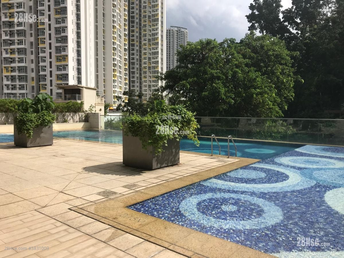 Gardenia Rental 1 Bedroom , 1 Bathroom 270 ft²
