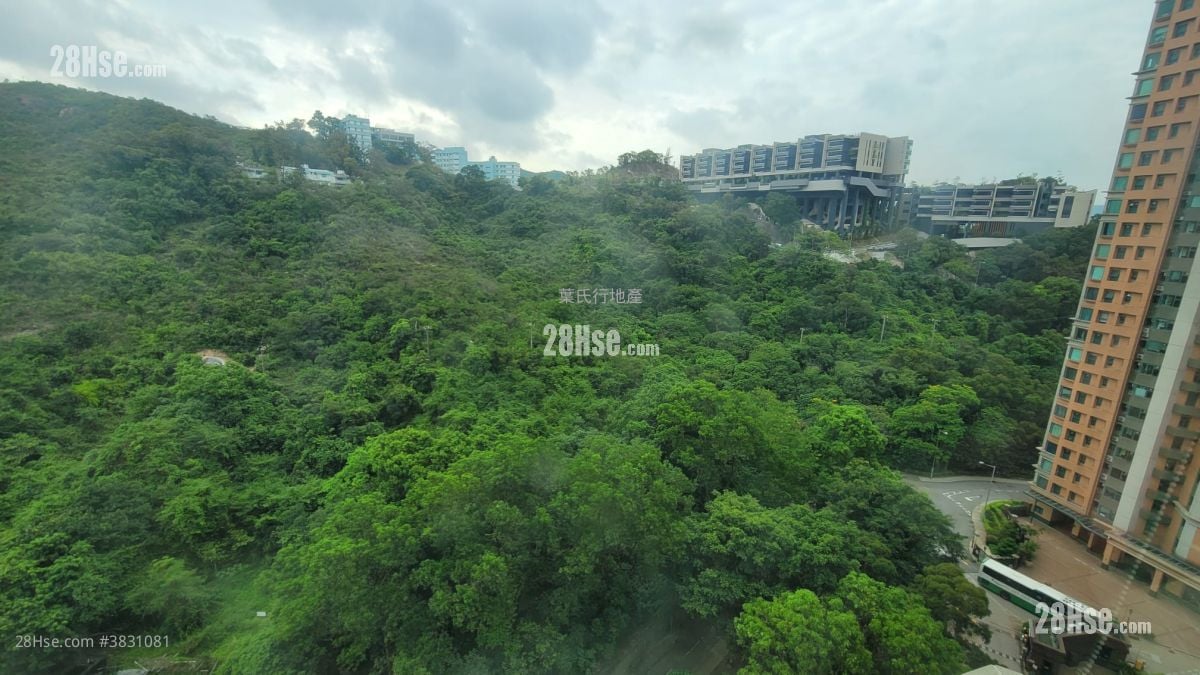 Palatial Coast Rental 2 Bedrooms , 1 Bathroom 672 ft²