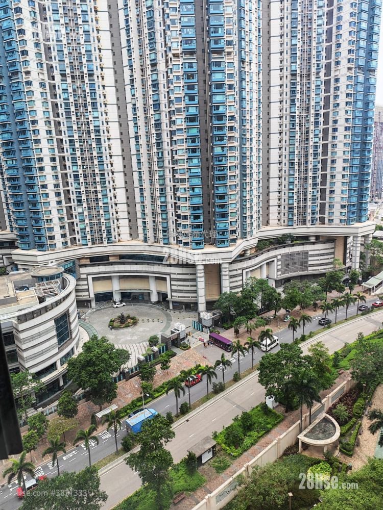 维港湾 租盘 3 房 , 2 浴室 692 平方尺