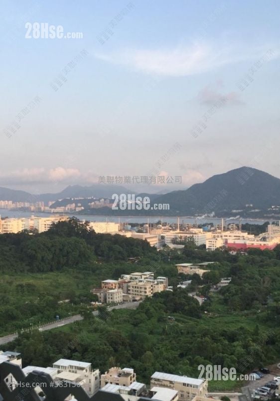 岚山 售盘 3 房 736 平方尺