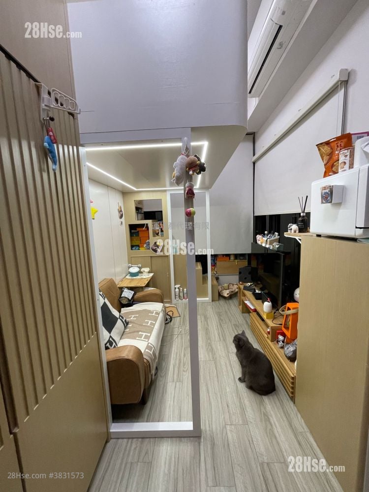 家壹 租盤 開放式間隔 , 1 浴室 238 平方呎