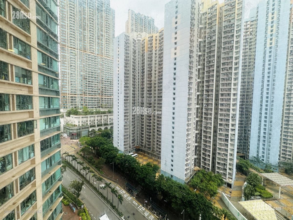 Park Avenue Rental 449 ft²