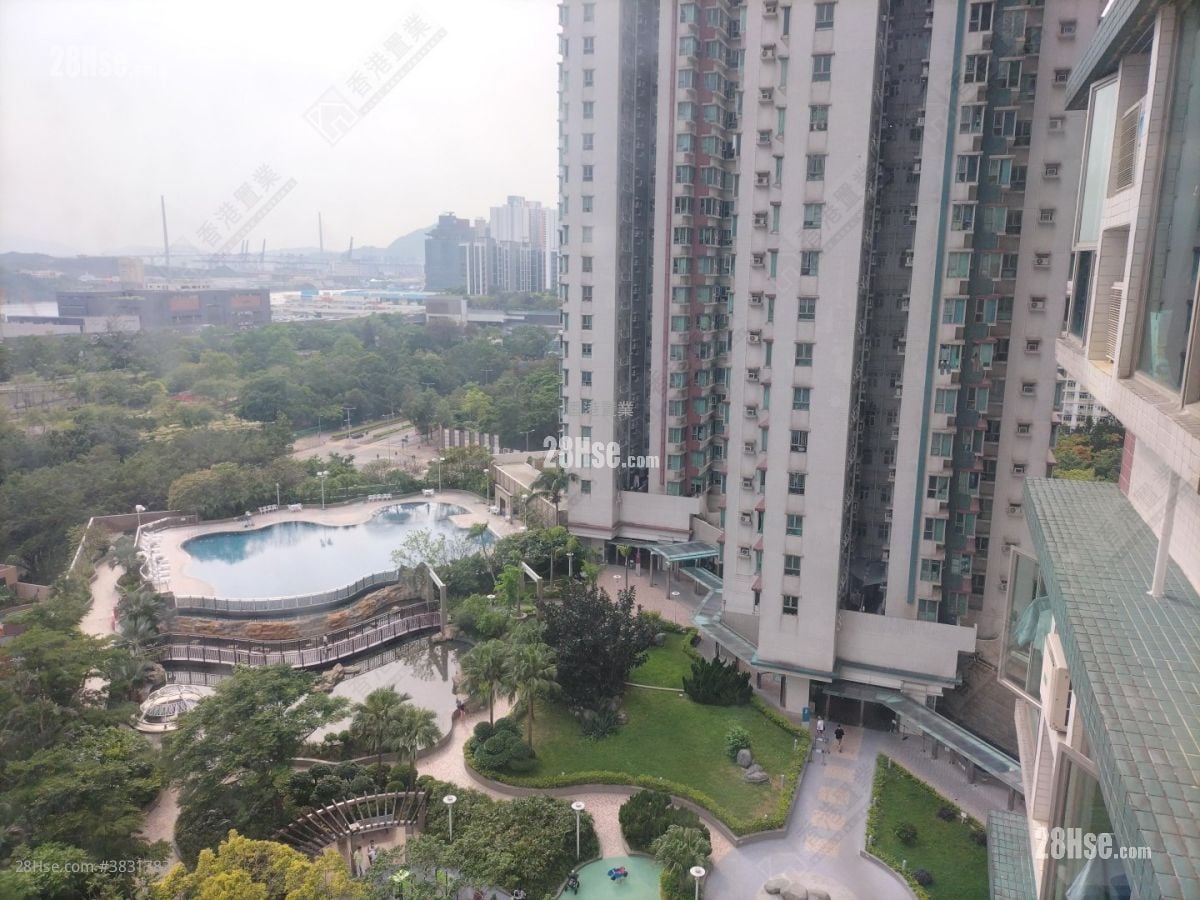 港湾豪庭 租盘 2 房 , 1 浴室 338 平方尺