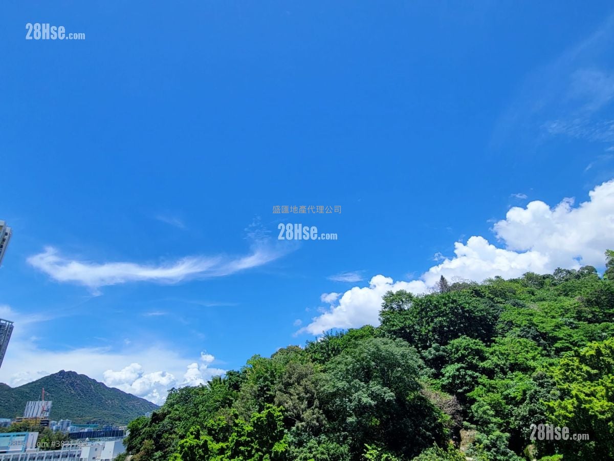 景怡峰 租盘 开放式间隔 , 1 浴室 269 平方尺