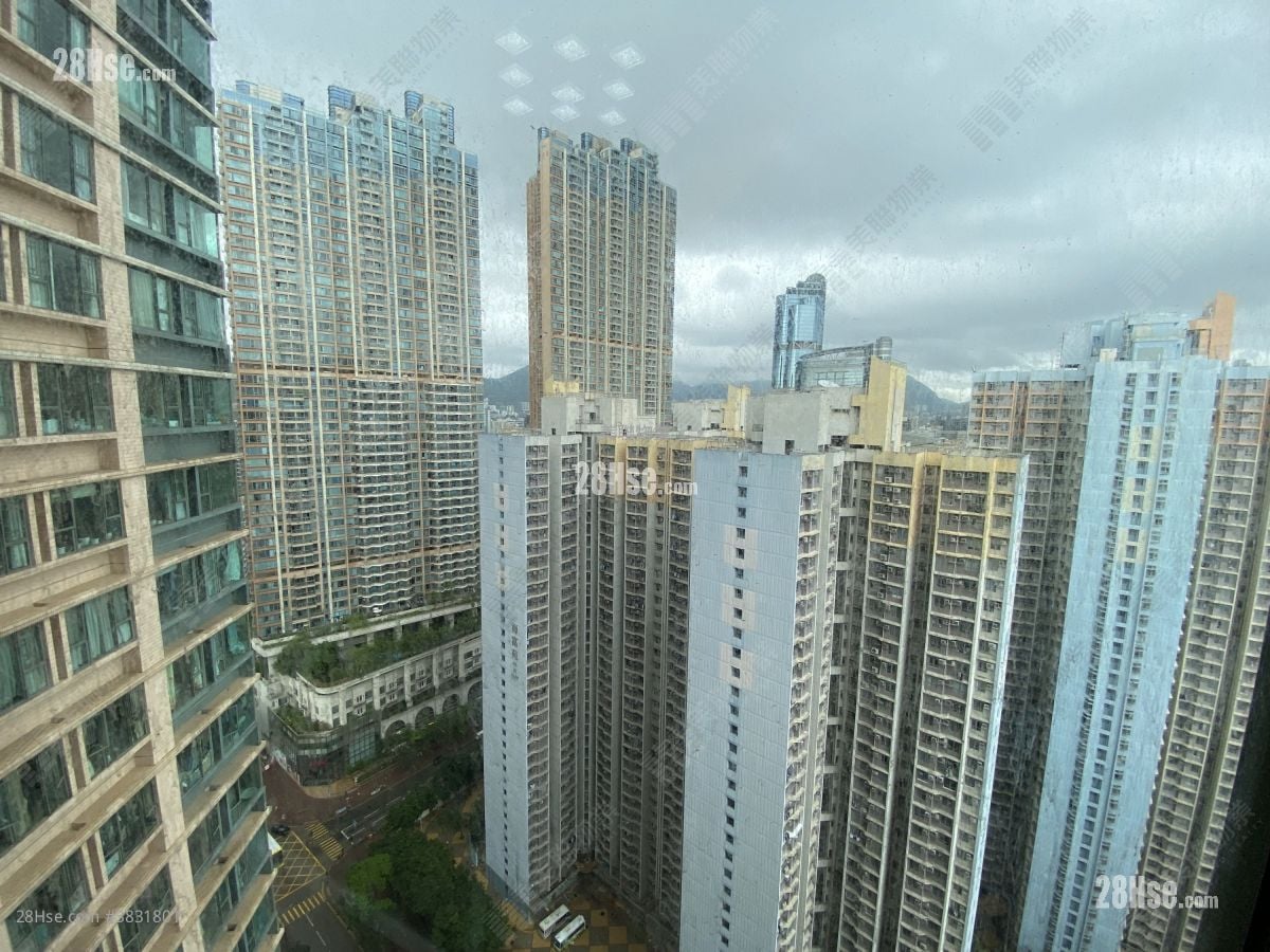 柏景湾 租盘 449 平方尺