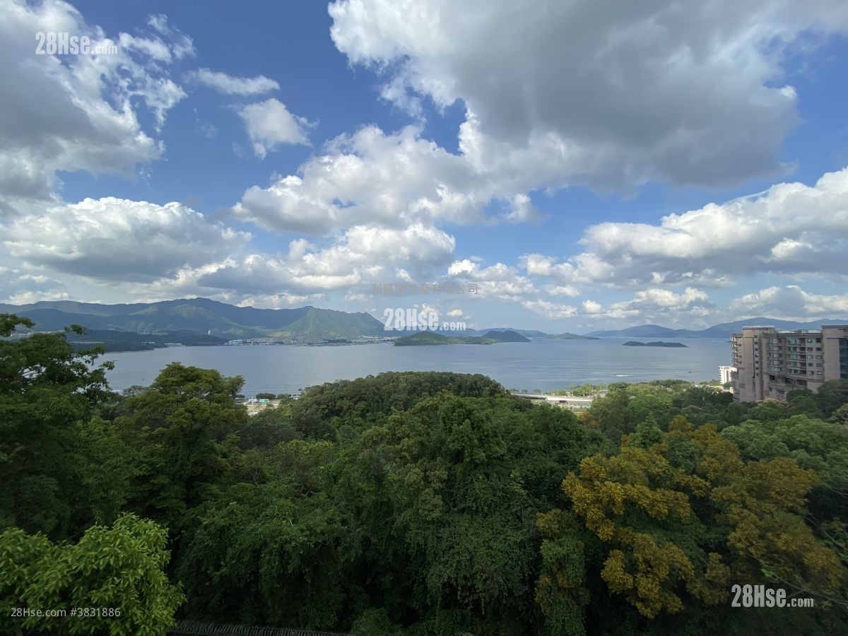 蔚海山莊 租盤 4 房 , 3 浴室 3,169 平方呎