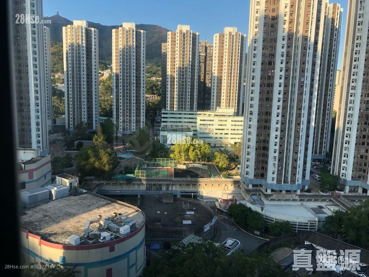 华都中心 租盘 2 房 , 1 浴室 339 平方尺