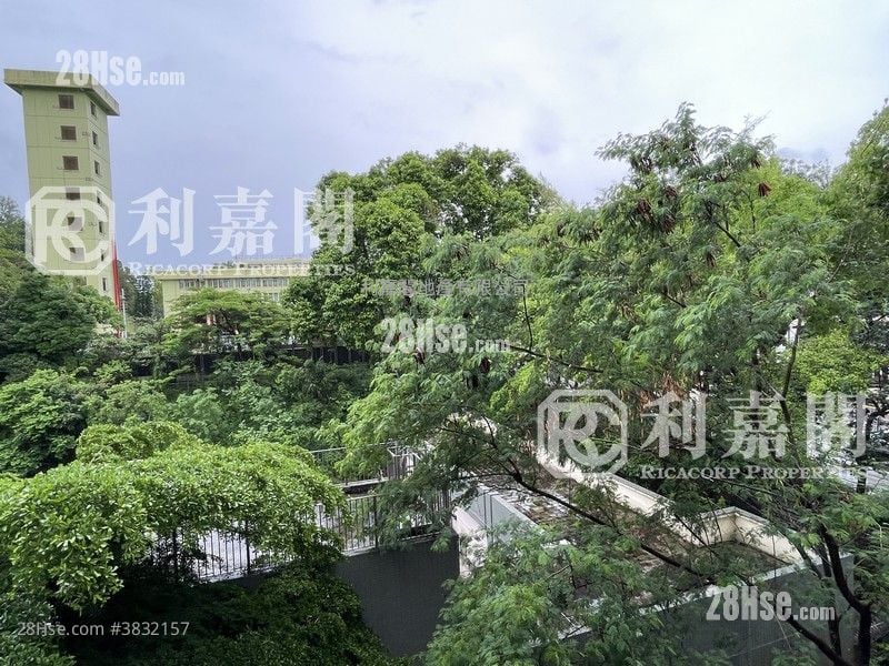 逸珑海滙 售盘 1 房 , 1 浴室 409 平方尺
