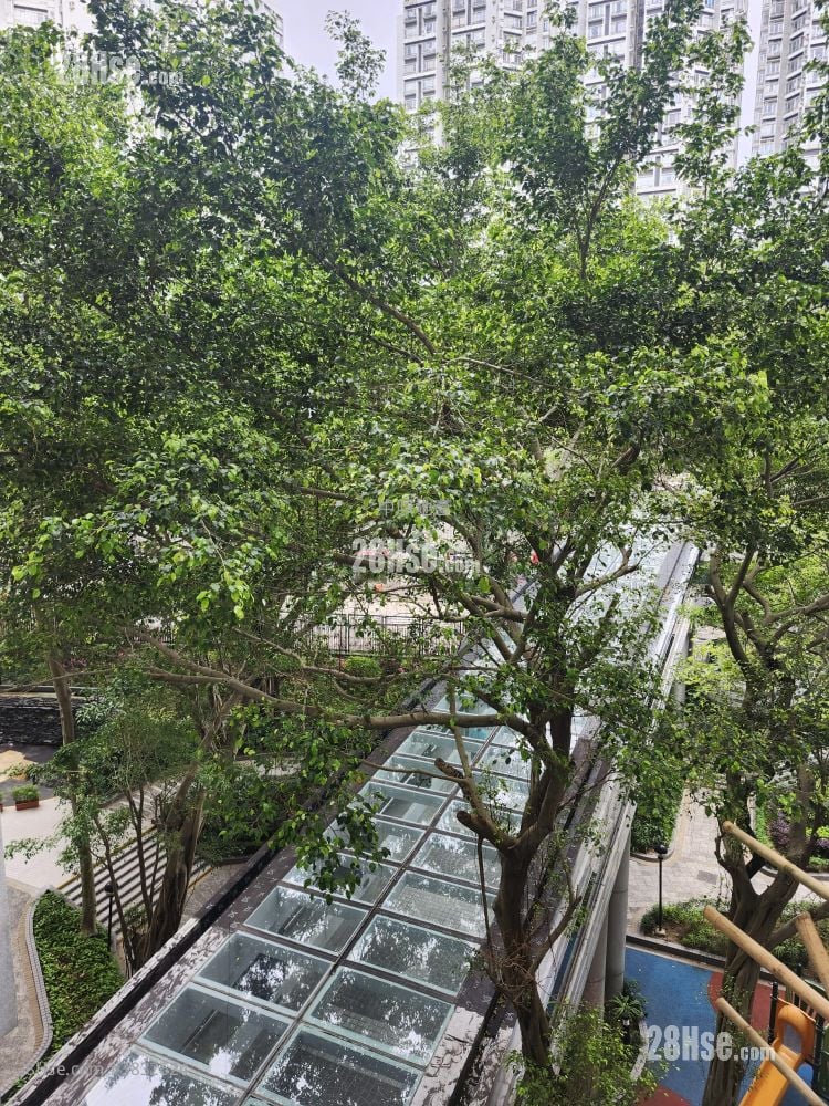 丽港城 售盘 2 房 , 1 浴室 517 平方尺