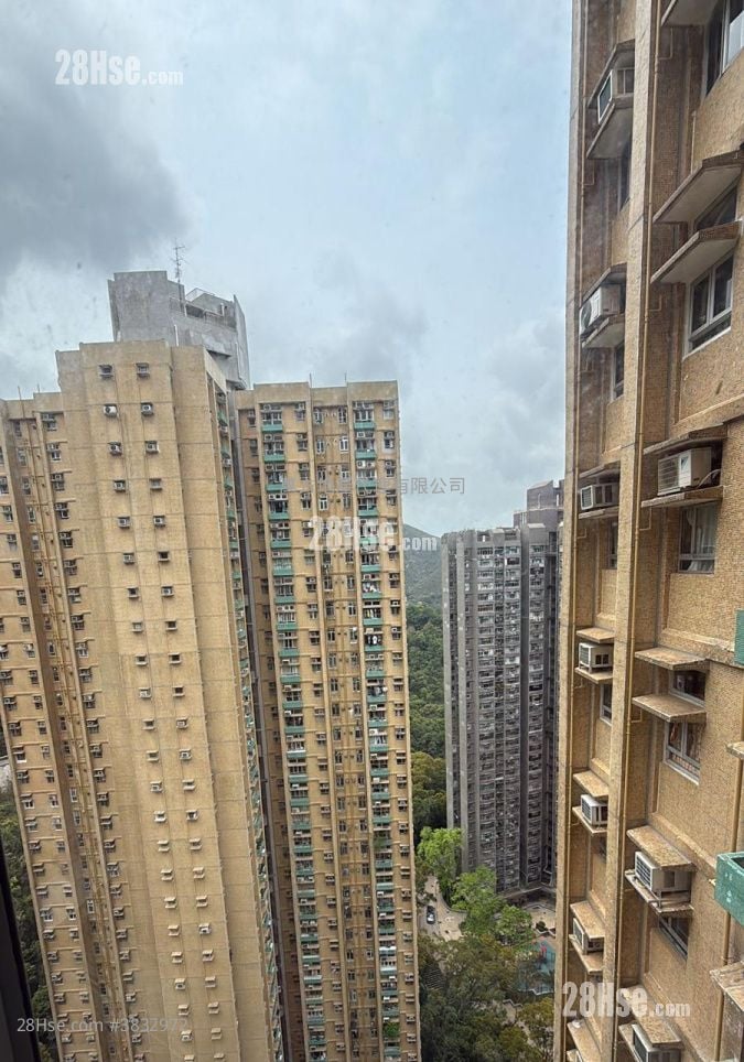 Hong Lam Court Sell 2 Bedrooms , 1 Bathroom 401 ft²