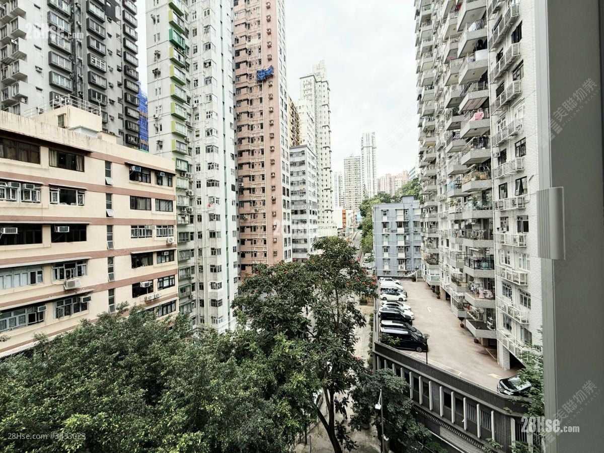 龙景花园 售盘 3 房