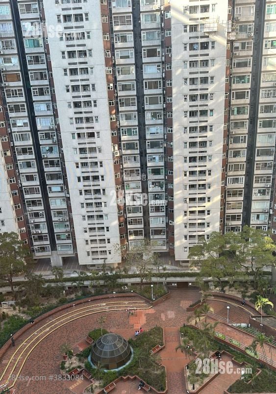 New Wealth Mansion Sell 1 Bedroom , 1 Bathroom 351 ft²