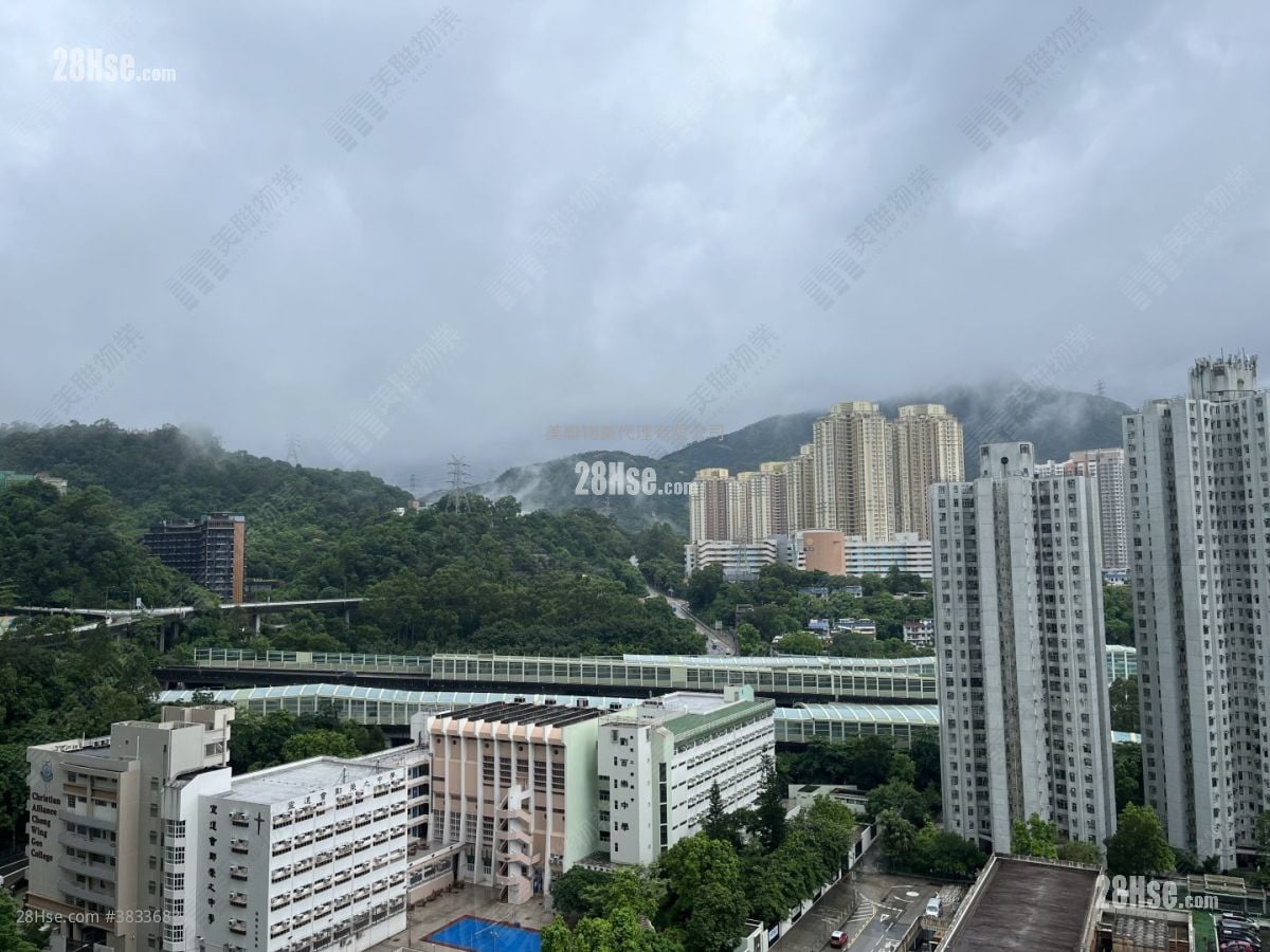 Festival City Sell 3 Bedrooms 678 ft²
