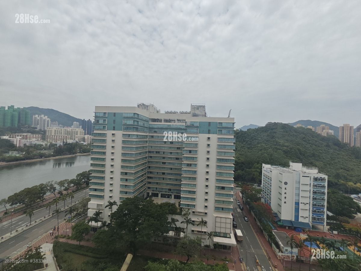 河畔花园 租盘 1 房 , 1 浴室 242 平方尺