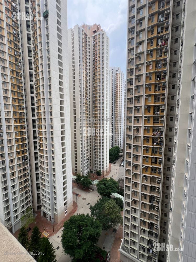 Yu Chui Court Sell 3 Bedrooms , 2 Bathrooms 663 ft²