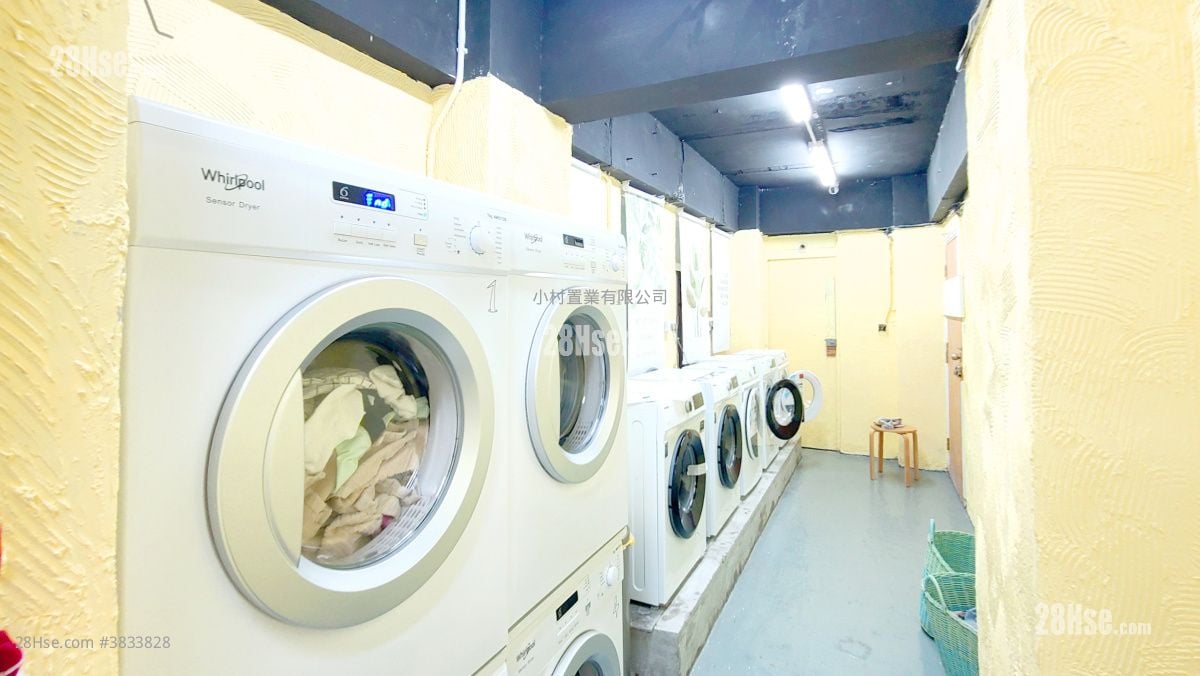 其它: Laundry