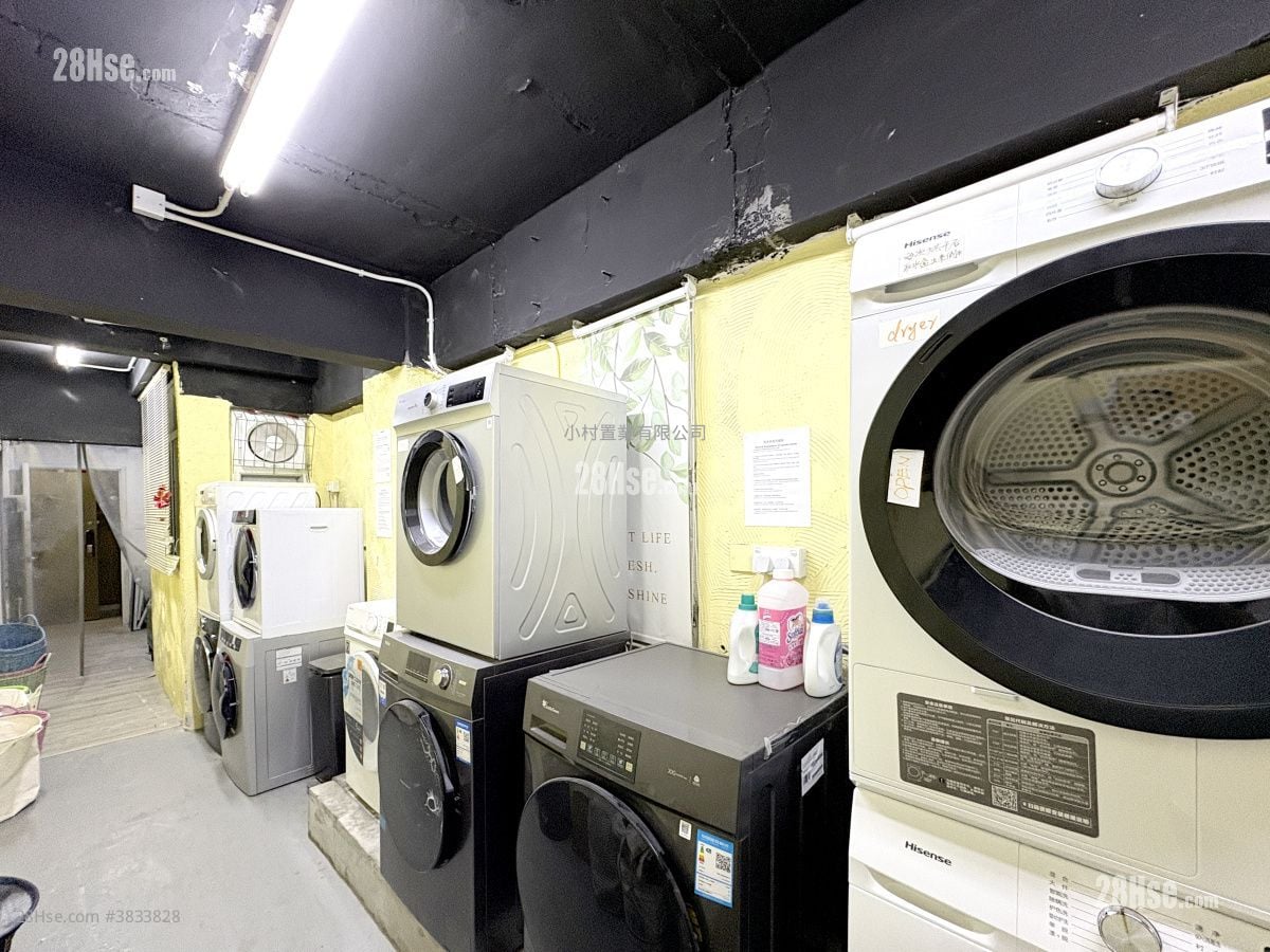 其它: Laundry