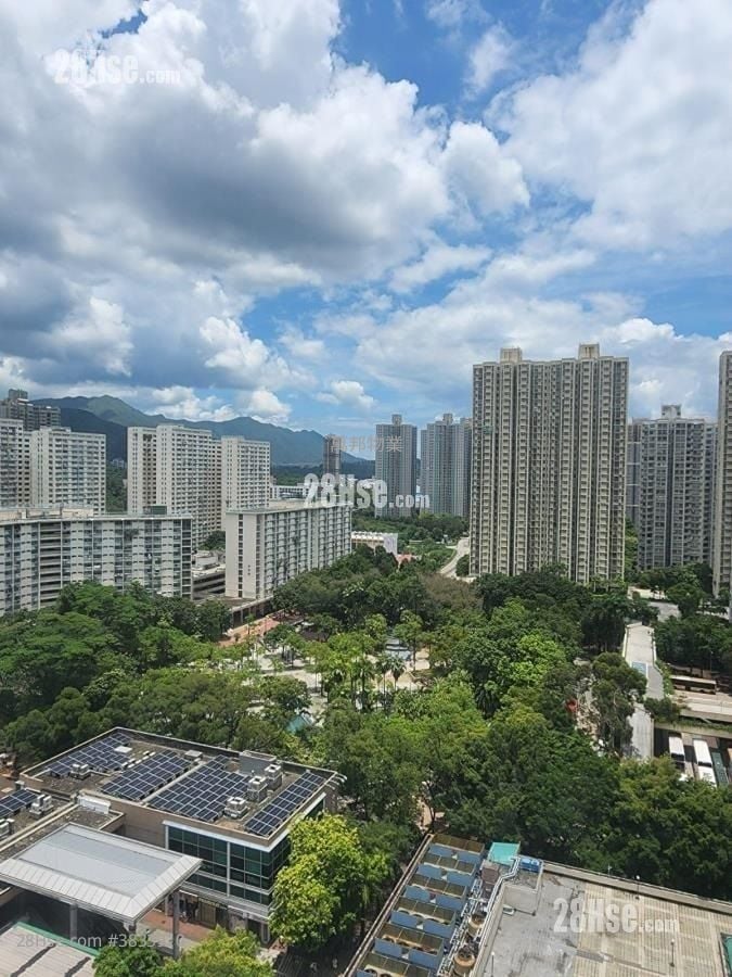 Jade Plaza Rental 1 Bedroom , 1 Bathroom 269 ft²