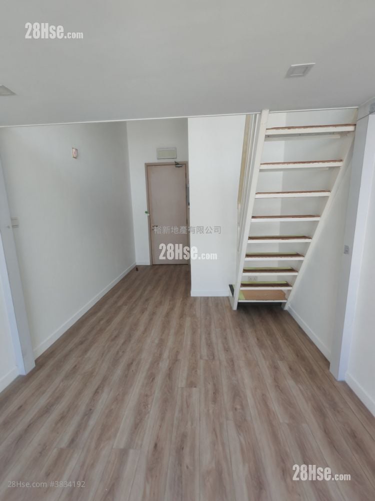 The Star Rental