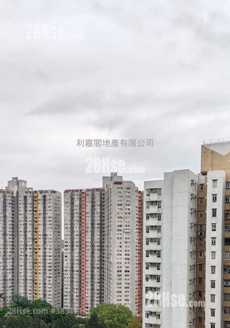 上水名都 售盘 3 房 , 1 浴室 454 平方尺