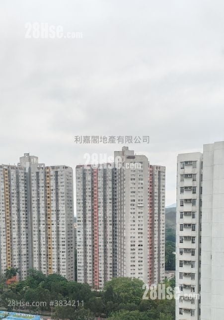 上水名都 售盘 3 房 , 1 浴室 454 平方尺