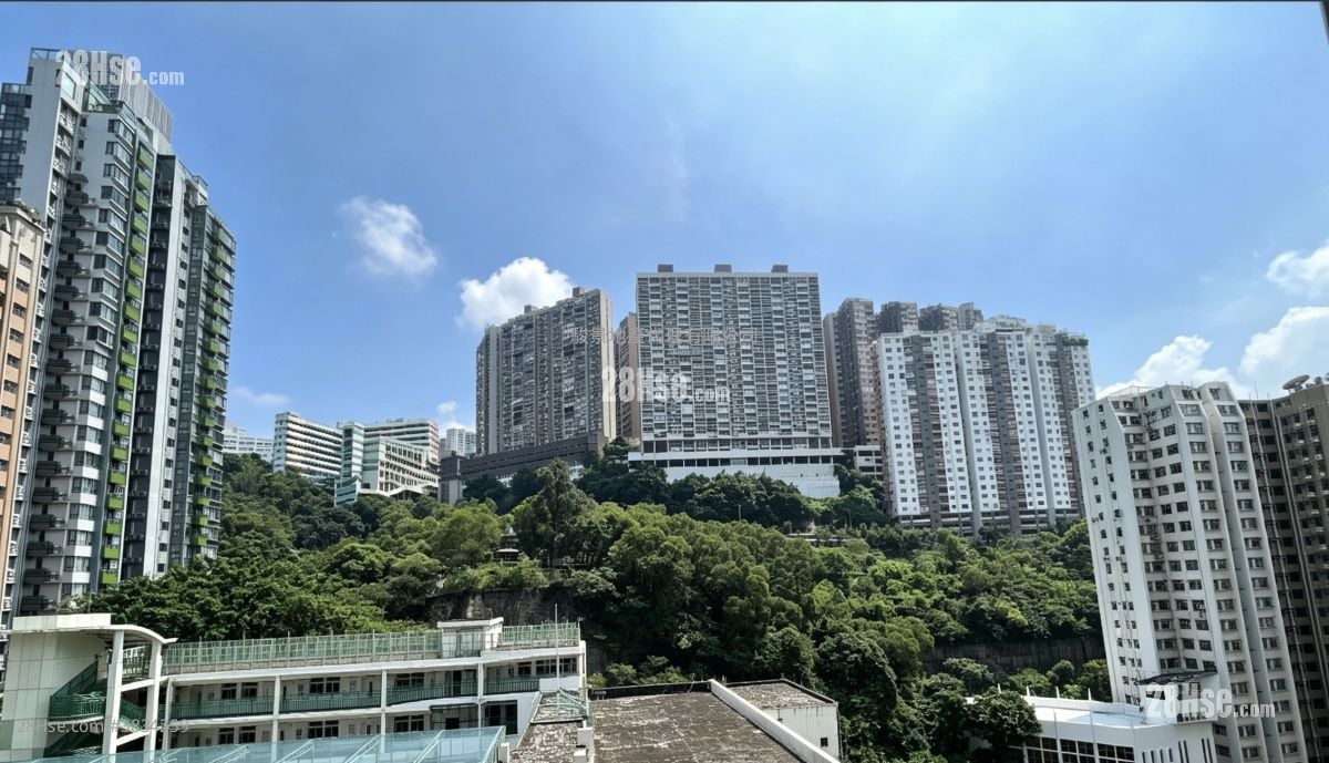 楓林花園 售盤 3 房 , 2 浴室 601 平方呎