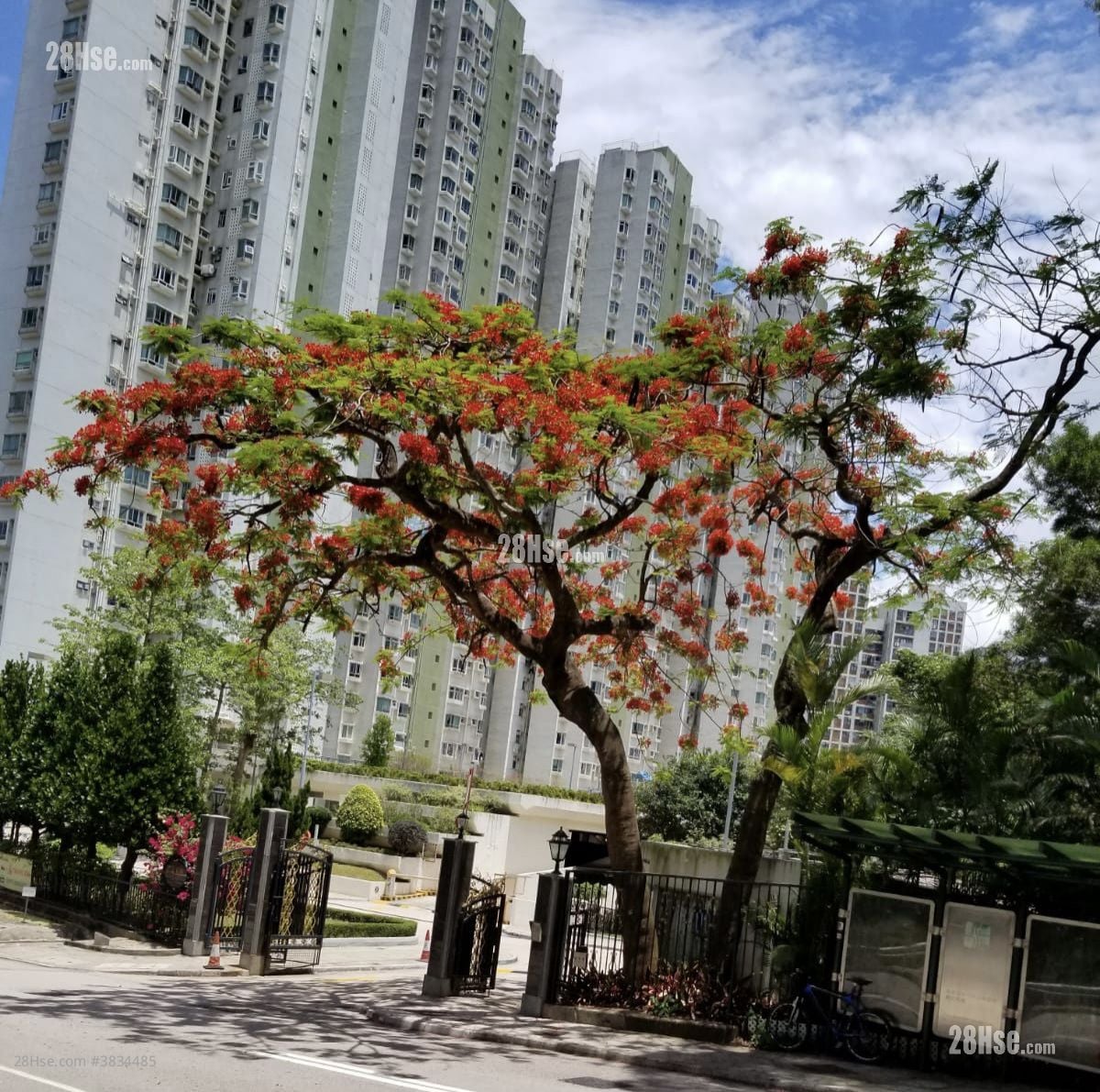 Scenery Garden Rental 3 Bedrooms , 1 Bathroom 537 ft²