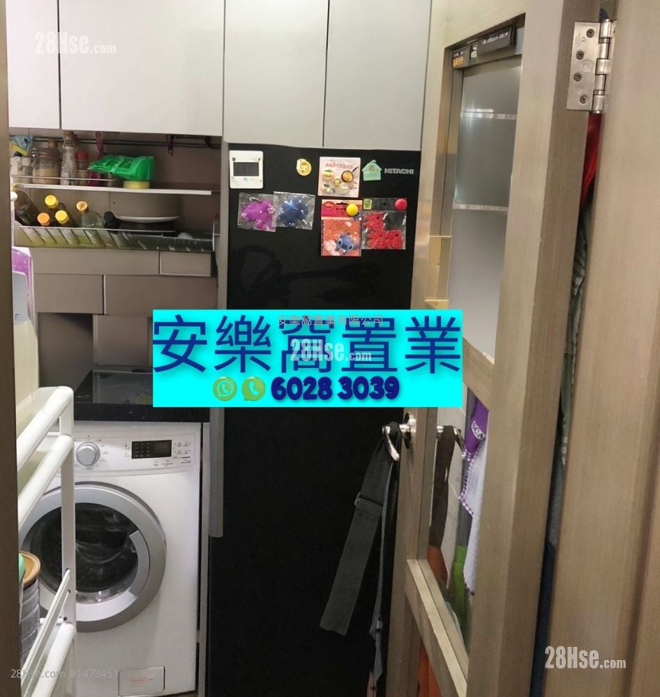 村屋 售盤 3 房 , 1 浴室