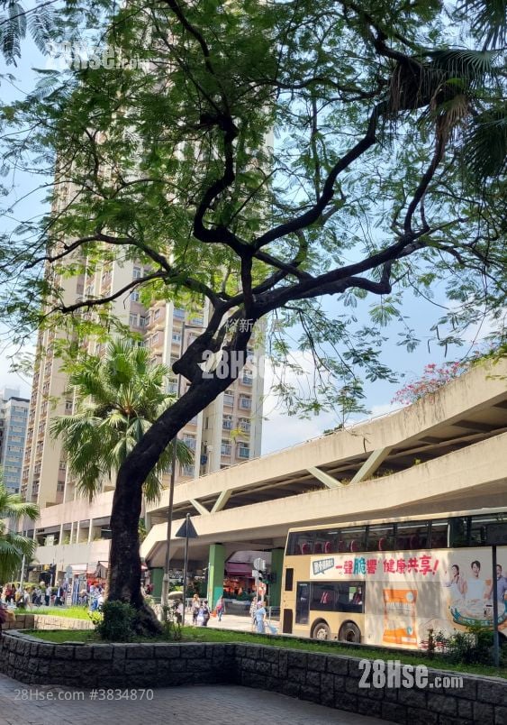 Jade Plaza Sell 1 Bedroom , 1 Bathroom 262 ft²