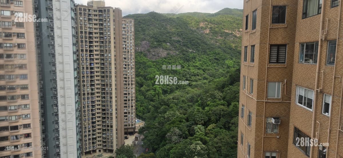 大坑台 售盤 1 房 576 平方呎