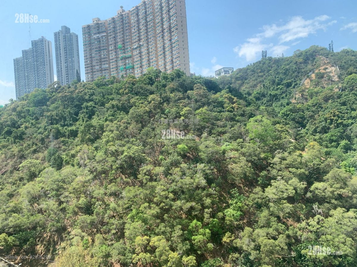火炭工廠大廈 租盤