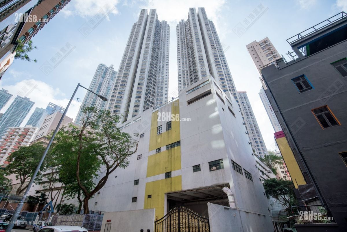 Illumination Terrace Rental 2 Bedrooms , 1 Bathroom 568 ft²