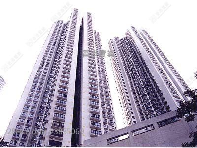 Illumination Terrace Rental 2 Bedrooms , 1 Bathroom 568 ft²