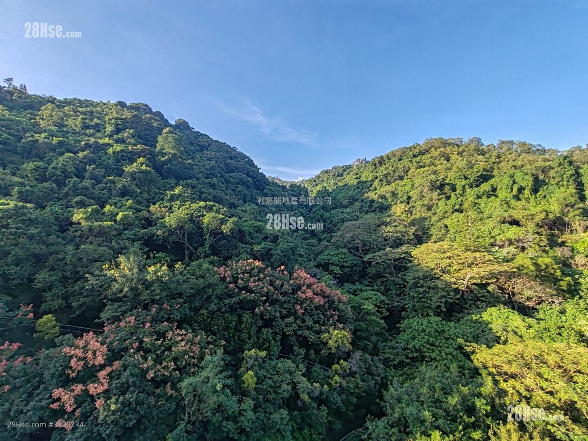 壹號雲頂 租盤 4 房 , 2 浴室 1,939 平方呎