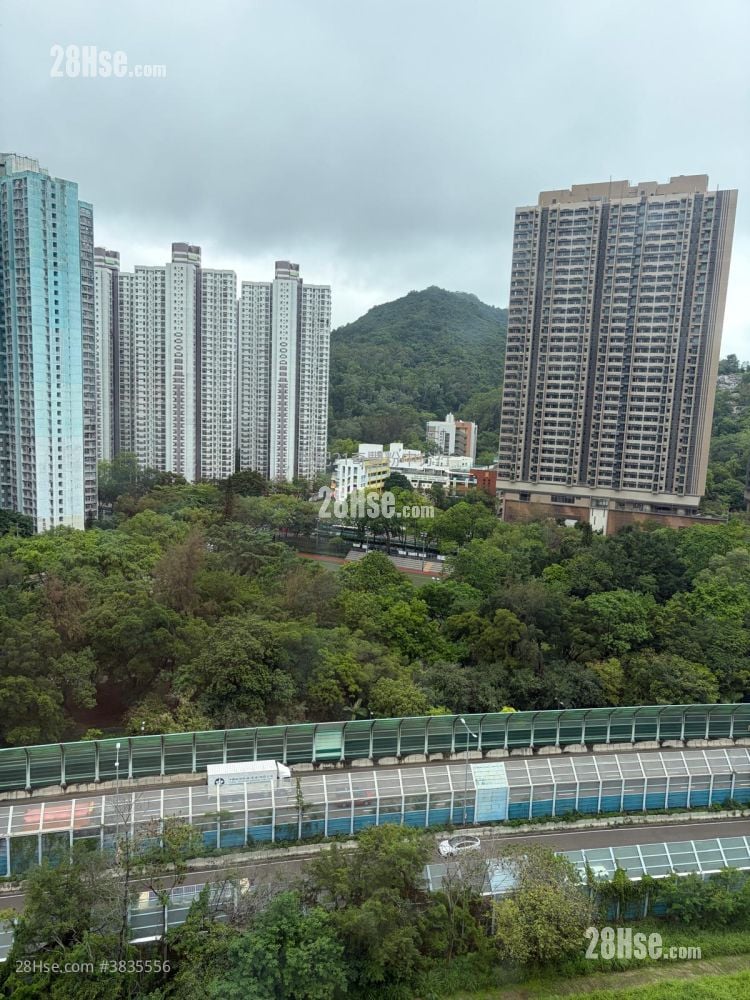 Fanling Centre Rental 2 Bedrooms , 1 Bathroom 368 ft²