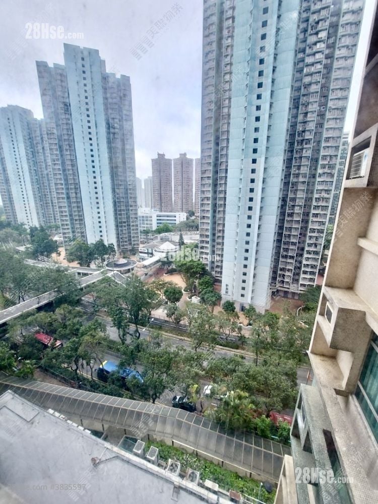 Flora Plaza Sell 3 Bedrooms 526 ft²