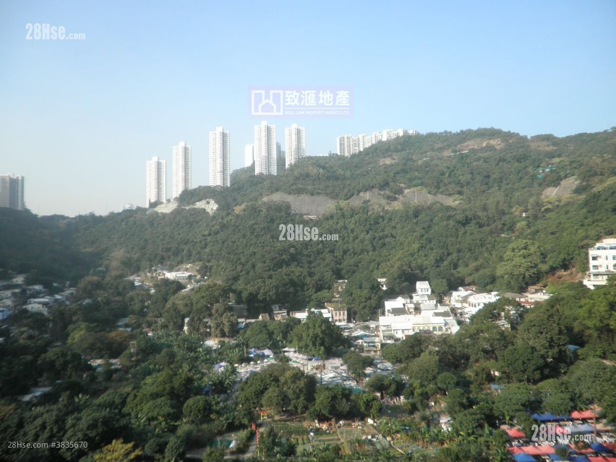 荔欣苑 售盘 3 房 601 平方尺