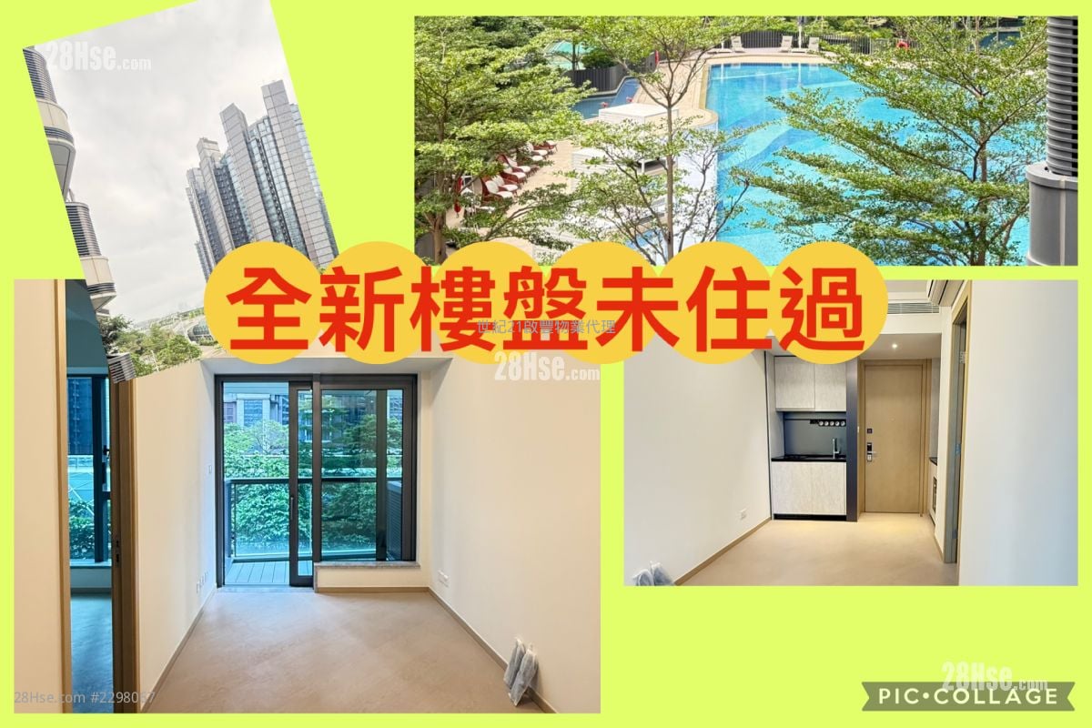 维港1号 租盘 1 房 , 1 浴室 338 平方尺