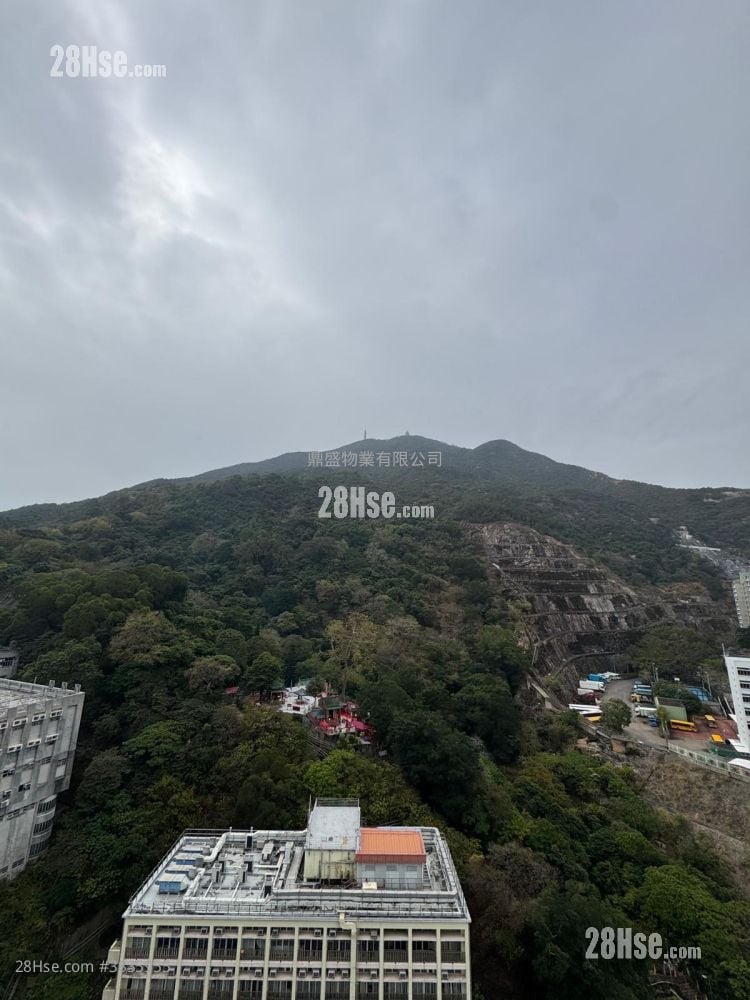 Lime Gala Rental 1 Bedroom , 1 Bathroom 353 ft²