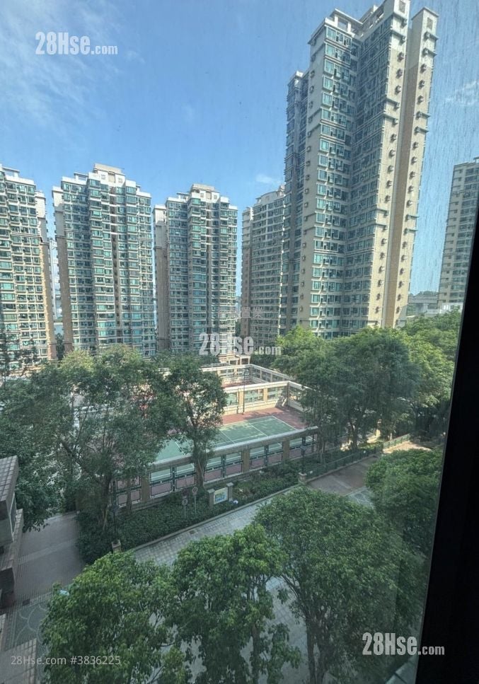 珀丽湾 租盘 2 房 , 1 浴室 490 平方尺